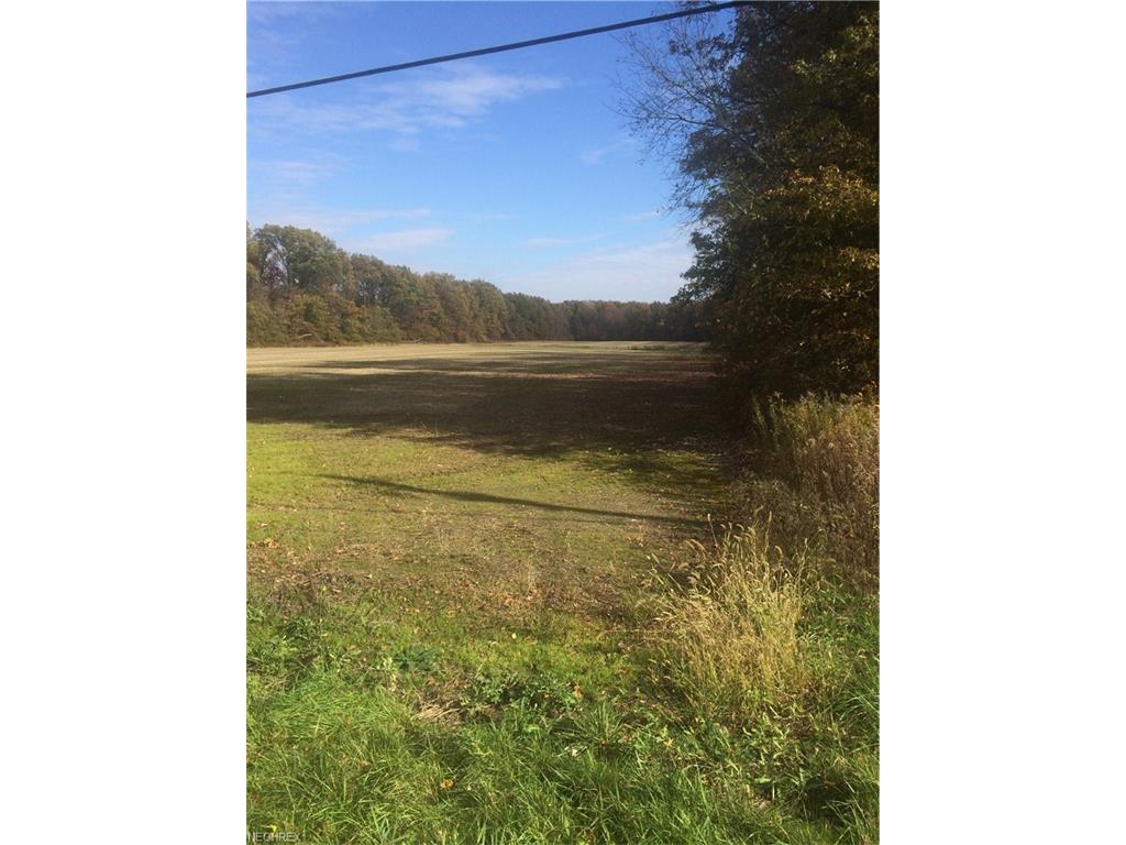 V/L Avon Beldon Rd - Photo 1