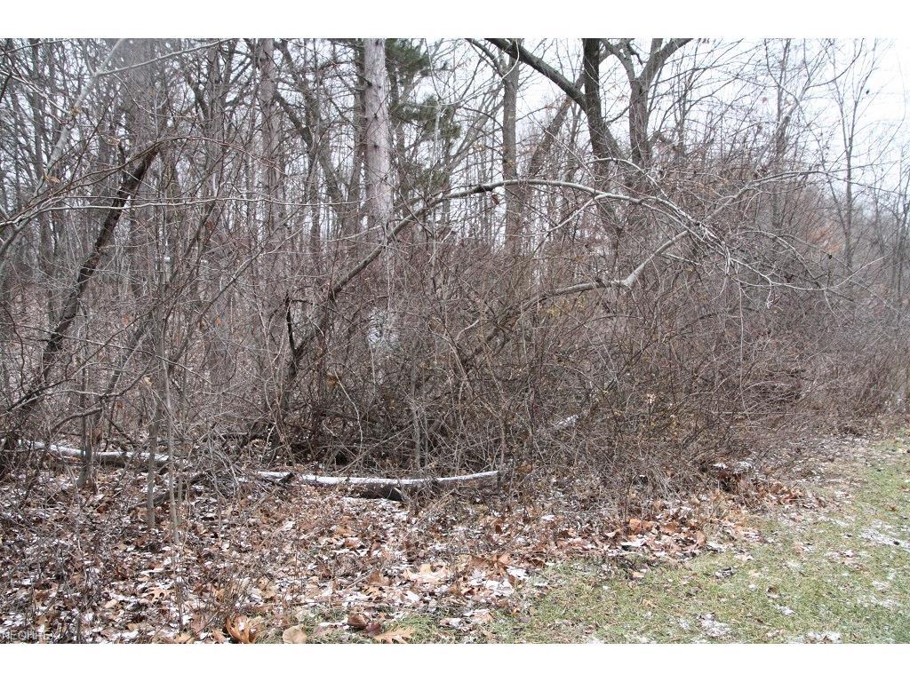 1203 Running Fox Ln - Photo 1