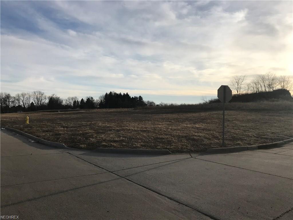 Settlers Trace Drive - Photo 1