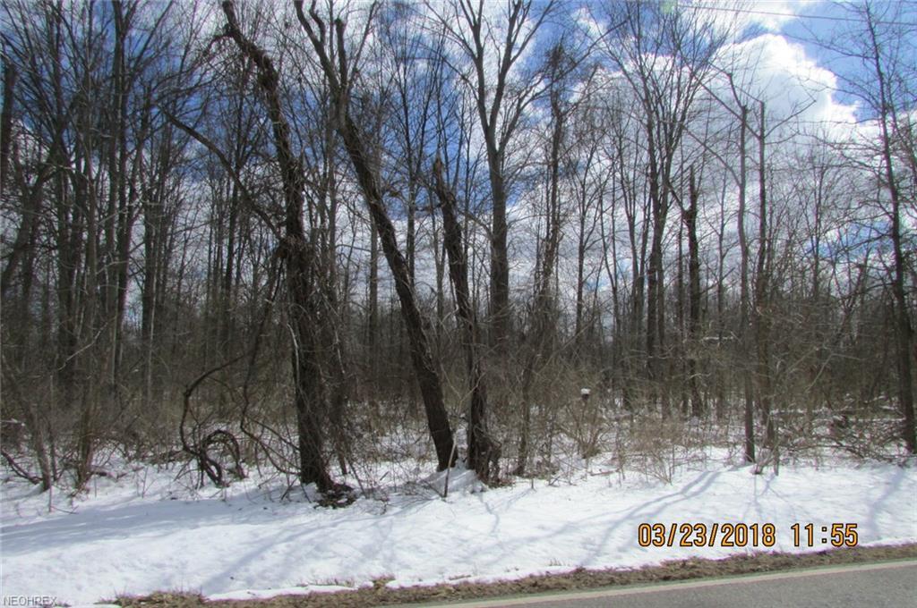Jaquay Rd - Photo 1
