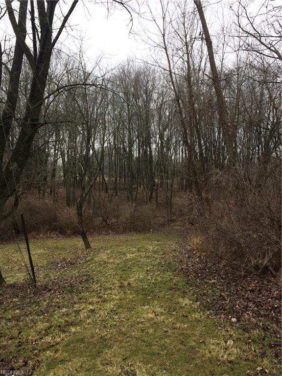 Sunnybrook St - Photo 1