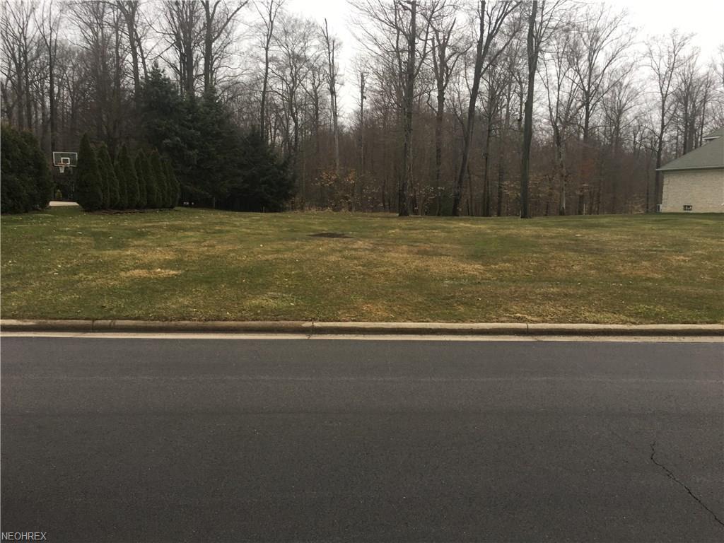 692 Saddlebrook Dr - Photo 1