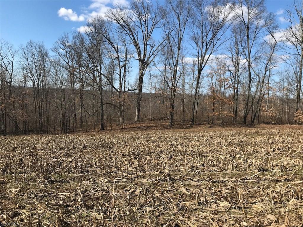Patton Mills Rd - Photo 1