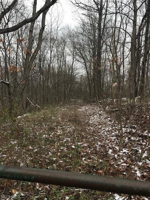 0 Haver Hill Rd - Photo 1