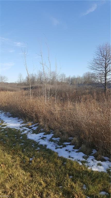 Terra Bella Dr - Photo 1