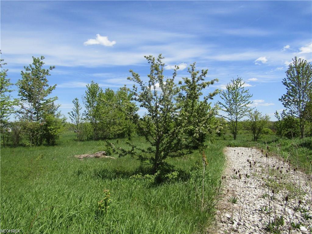 State Route 534 - Photo 1
