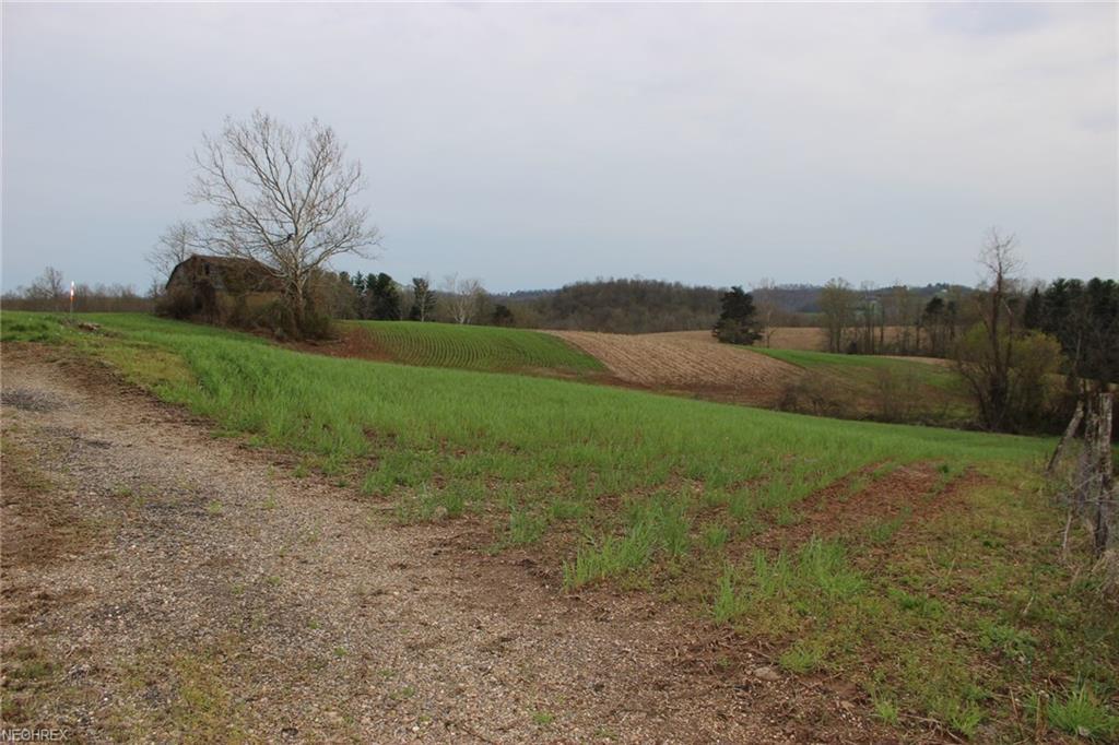 Nichols Road - Photo 1