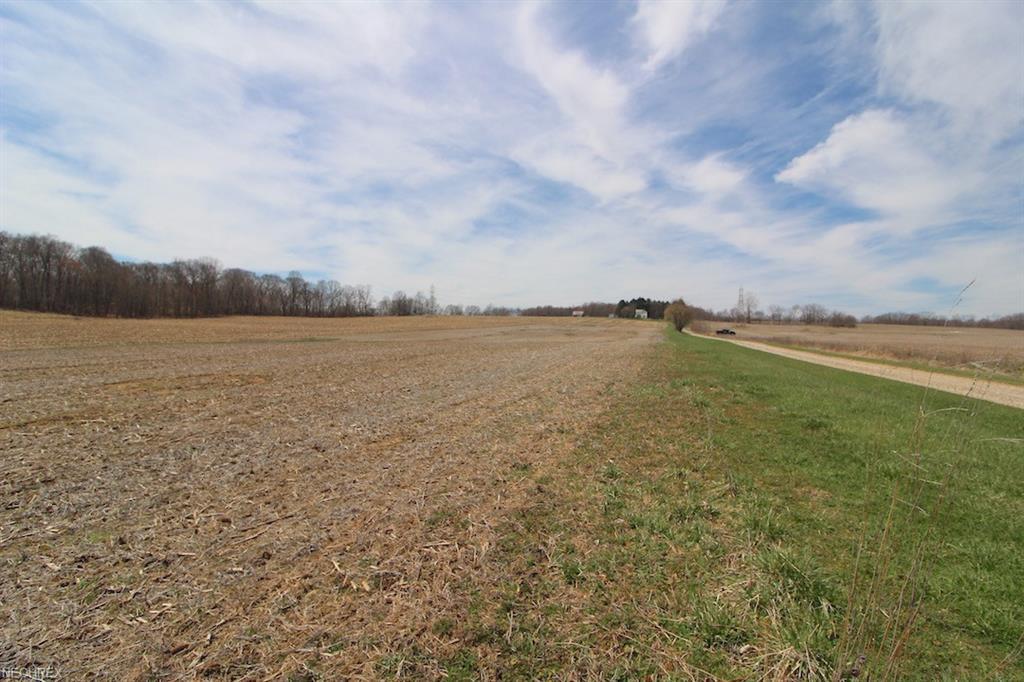 Taylor Road - Photo 1