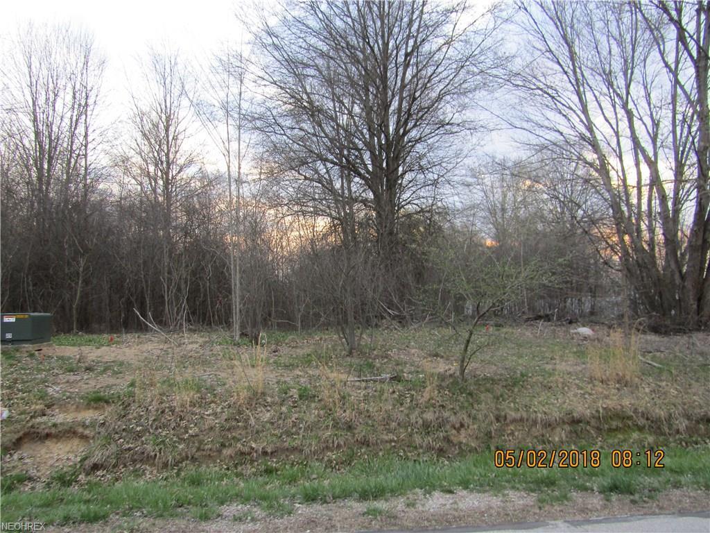Chaffee Drive - Photo 1