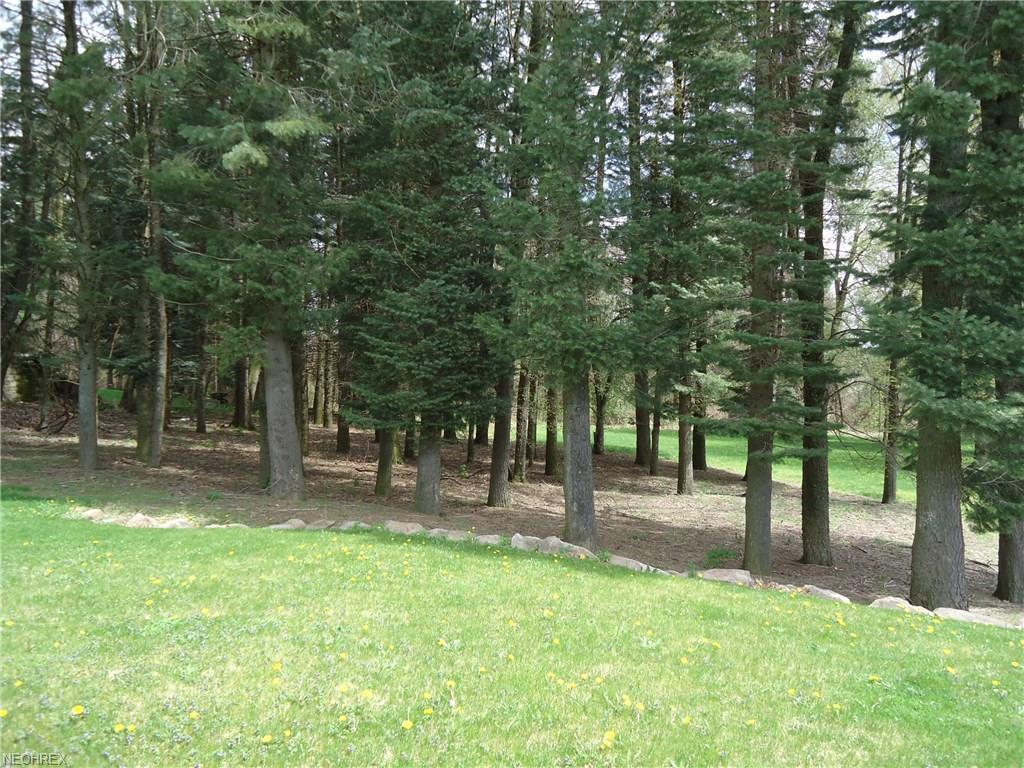 2043 Swan Lake Cir - Photo 1