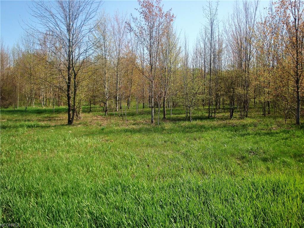 4950 Hemlock Ln - Photo 1
