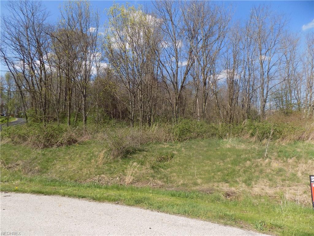 3 Stella Ln - Photo 1