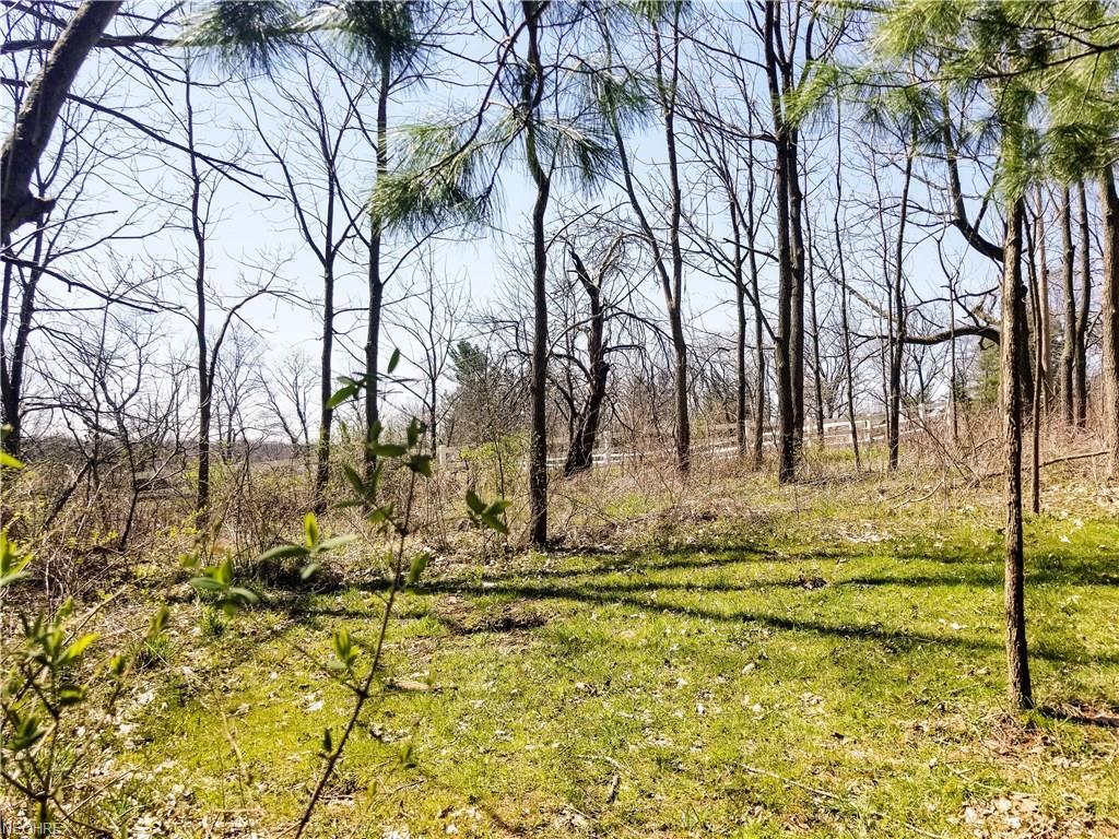 Ridge Rd - Photo 1