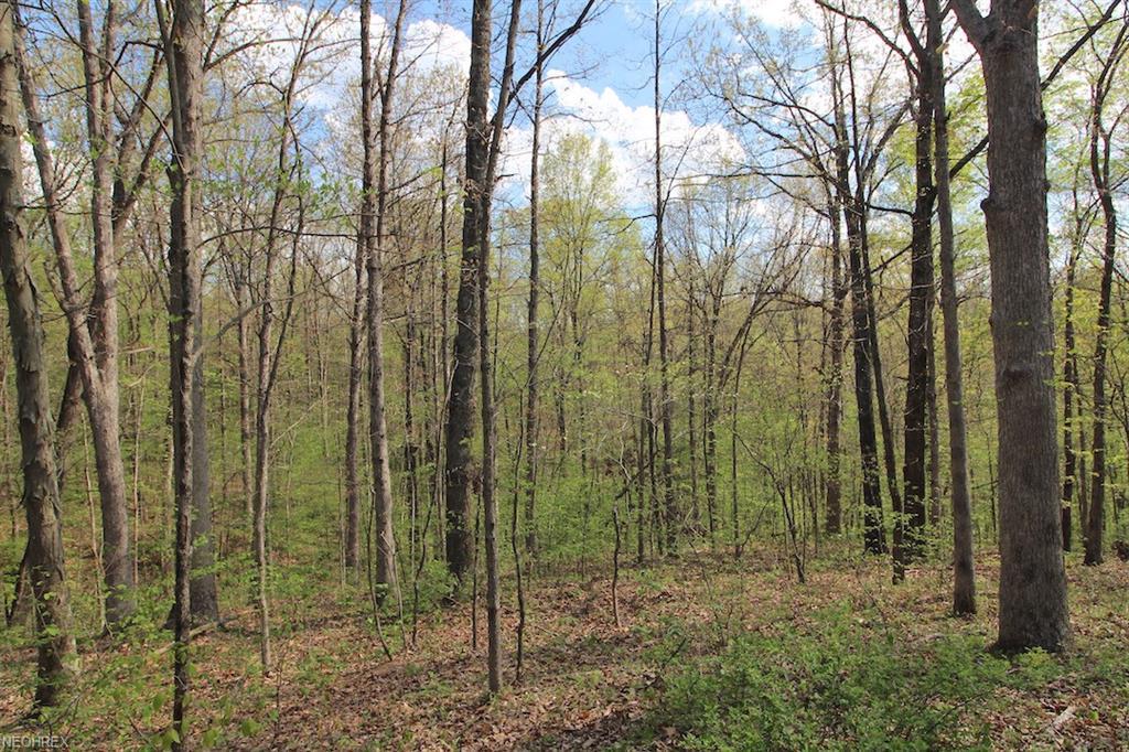 Robins Rd - Photo 1