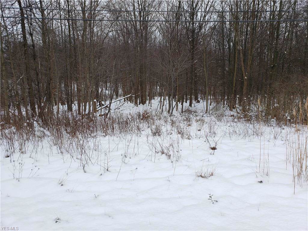 Boston Mills Road - Photo 1