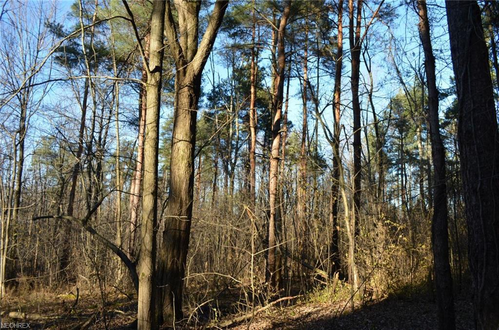 Wilder Rd - Photo 1