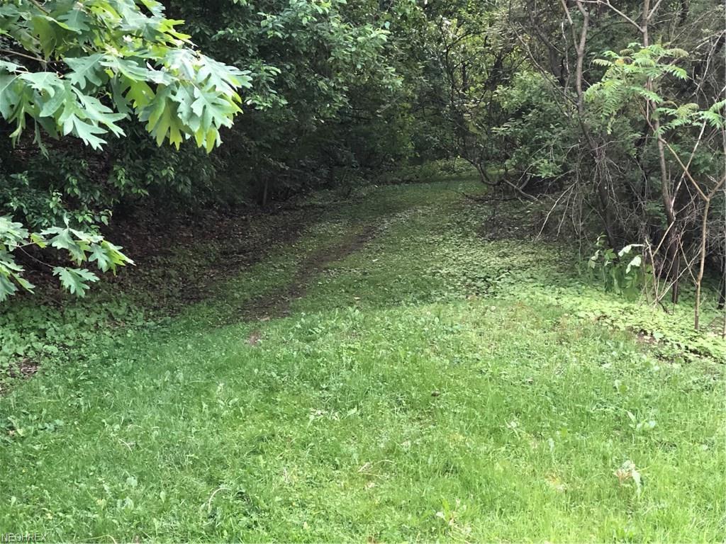 Buena Vista Drive - Photo 1