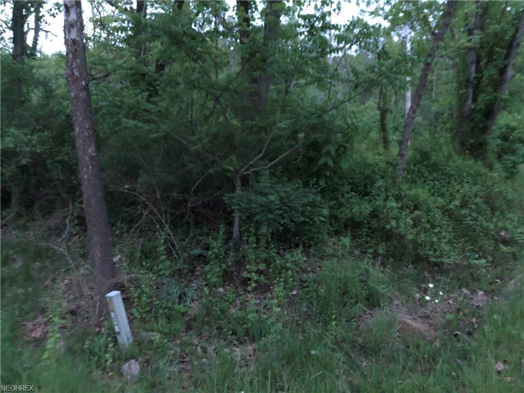 State Route 376 - Photo 1