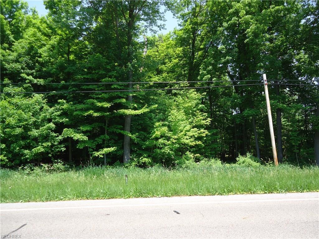 W Western Reserve Road - Photo 1
