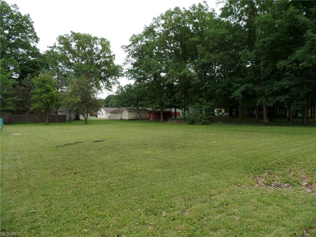 Parkview Ave - Photo 1