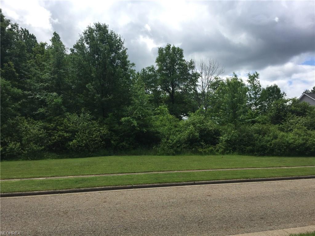 Lot 32 Terra Verde Ave - Photo 1