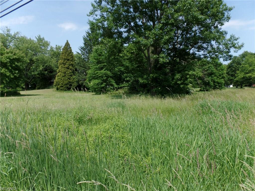 Warren Salem Rd - Photo 1