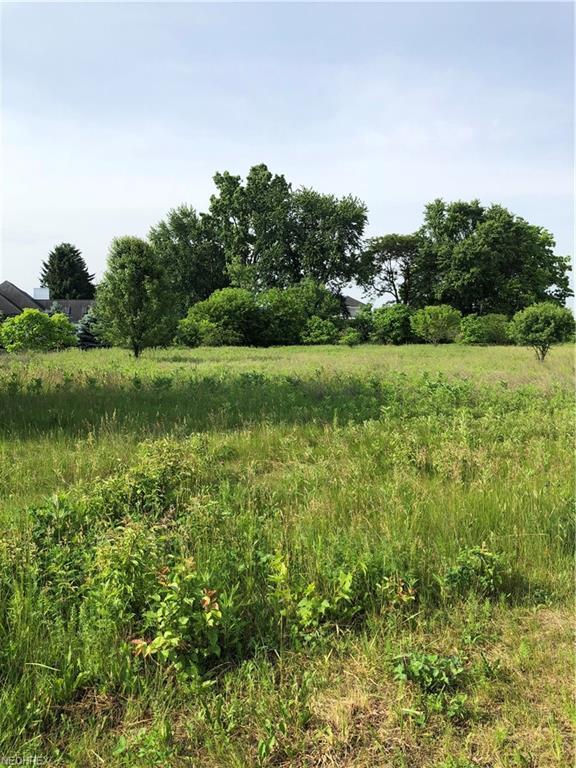 V/L Heritage Way - Photo 1