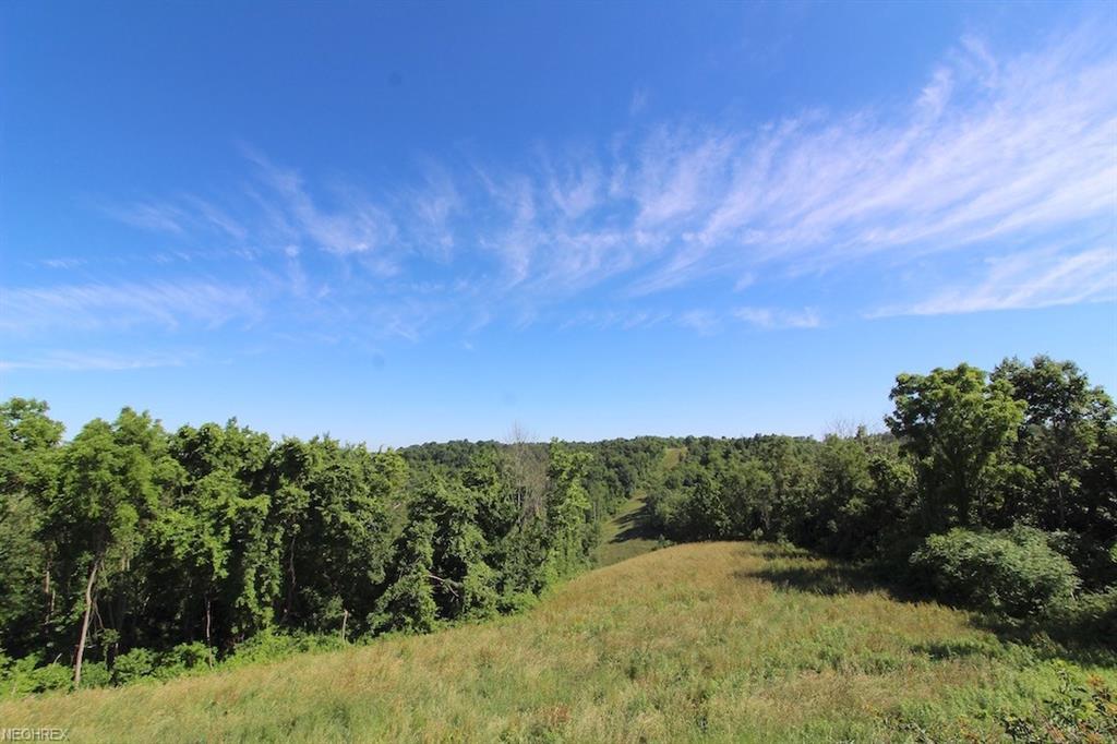 54060 Pugh Ridge Road - Photo 1