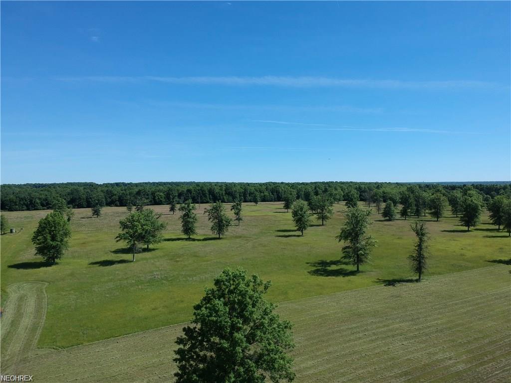 Perkins Jones Rd - Photo 1