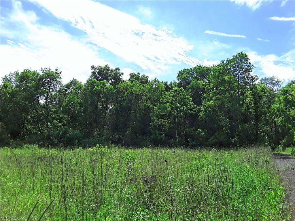 16880 Claridon Troy Rd - Photo 1