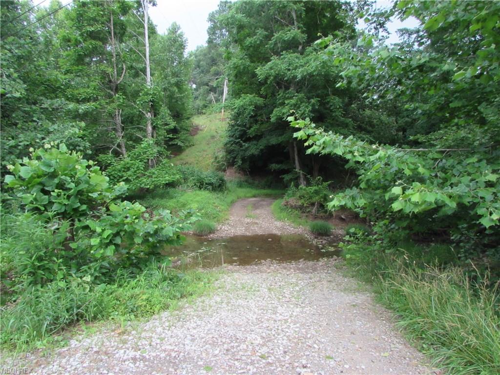 1221 Daughtery Rd - Photo 1