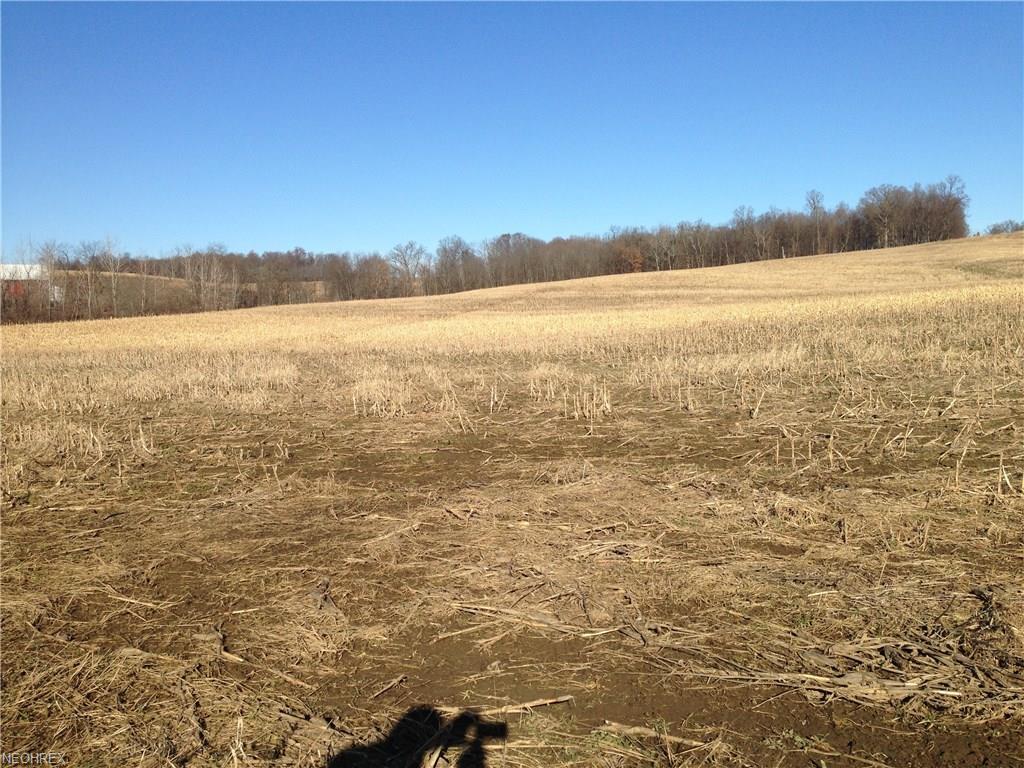 00 Danville-Amity Road - Photo 1