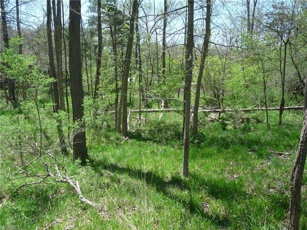 Eastland Rd - Photo 1
