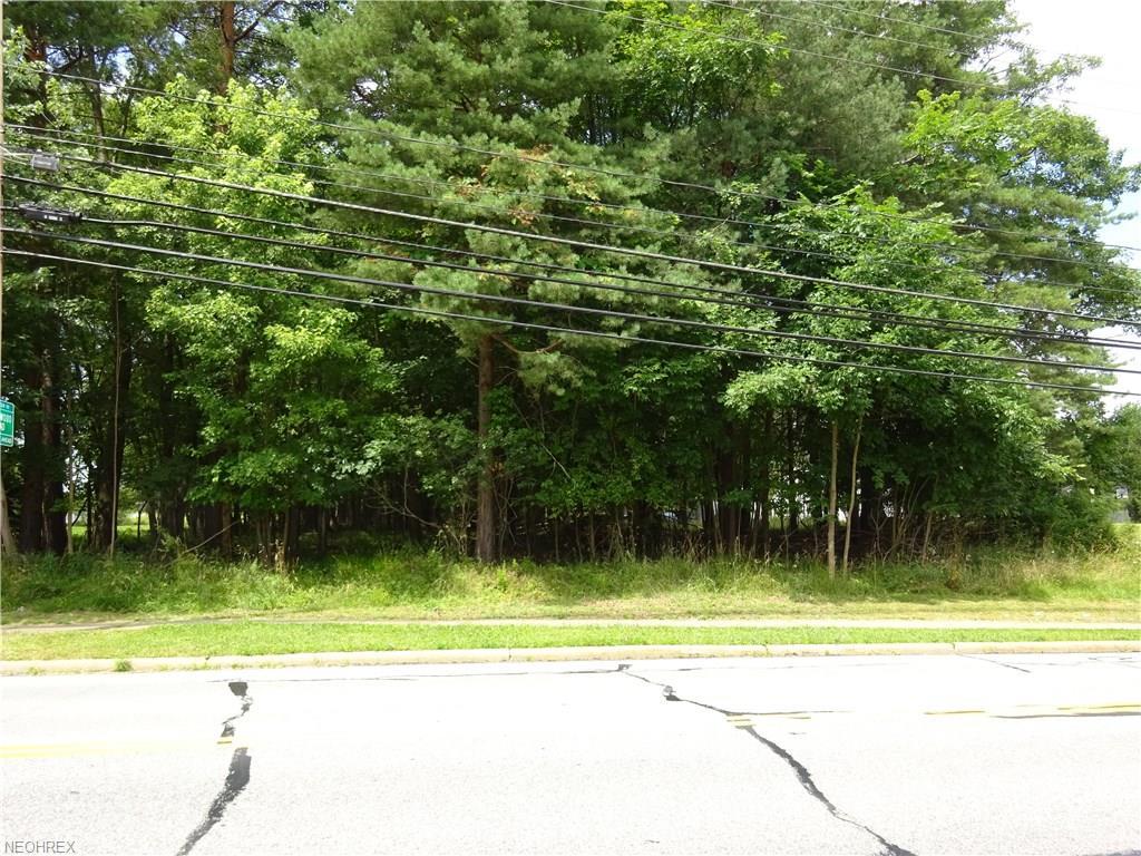 4771 Broadview Rd - Photo 1