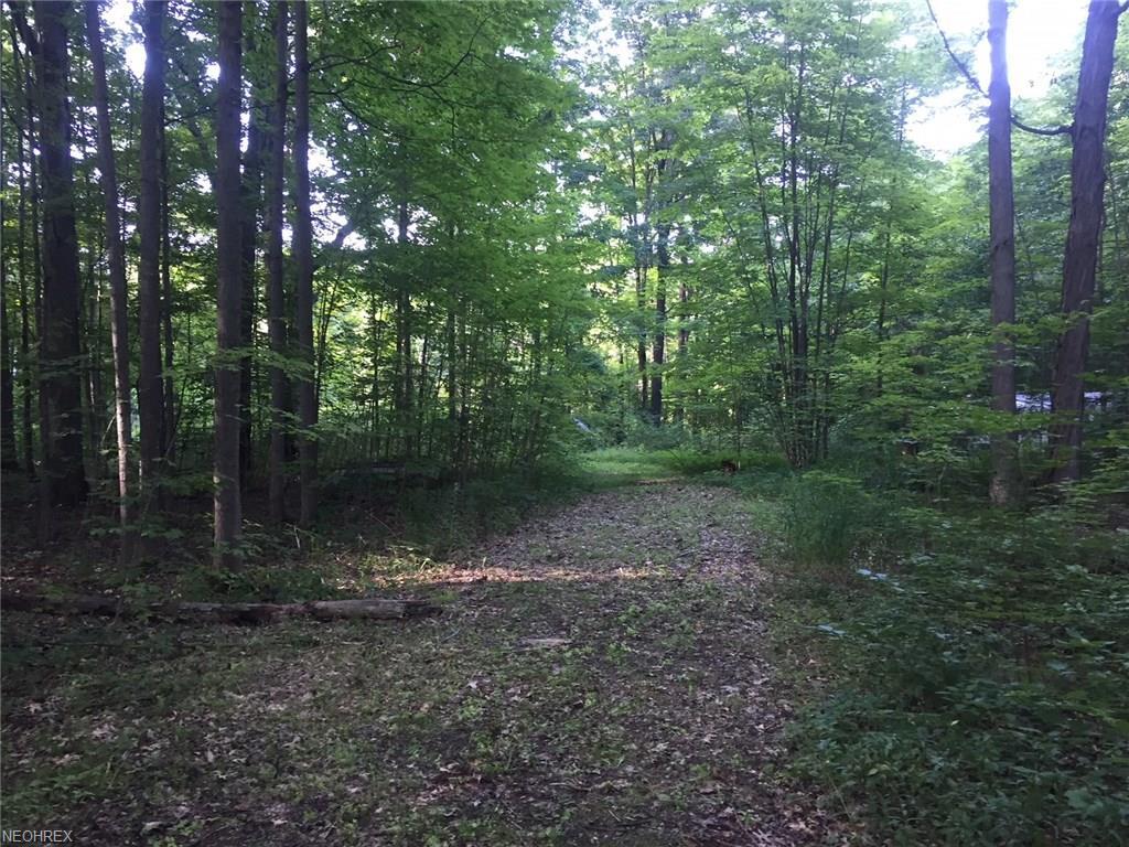 7153 Milligan East Rd - Photo 1