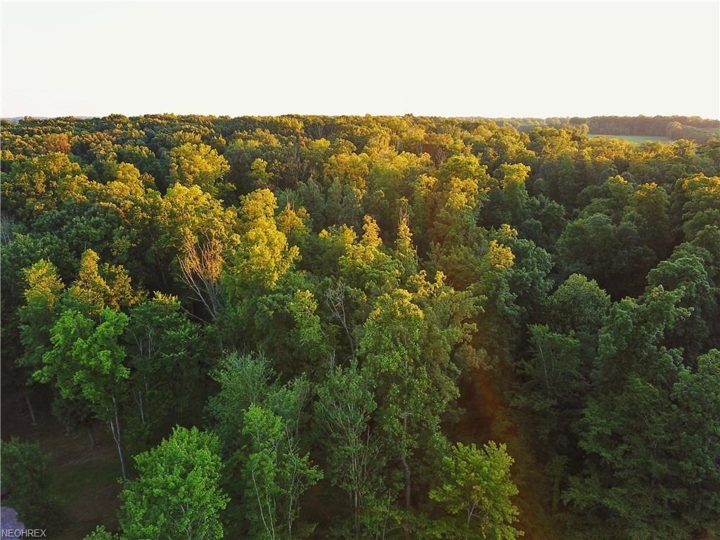 Rootstown Rd - Photo 1