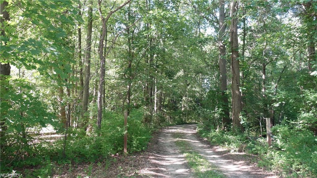 900 State Mill Rd - Photo 1
