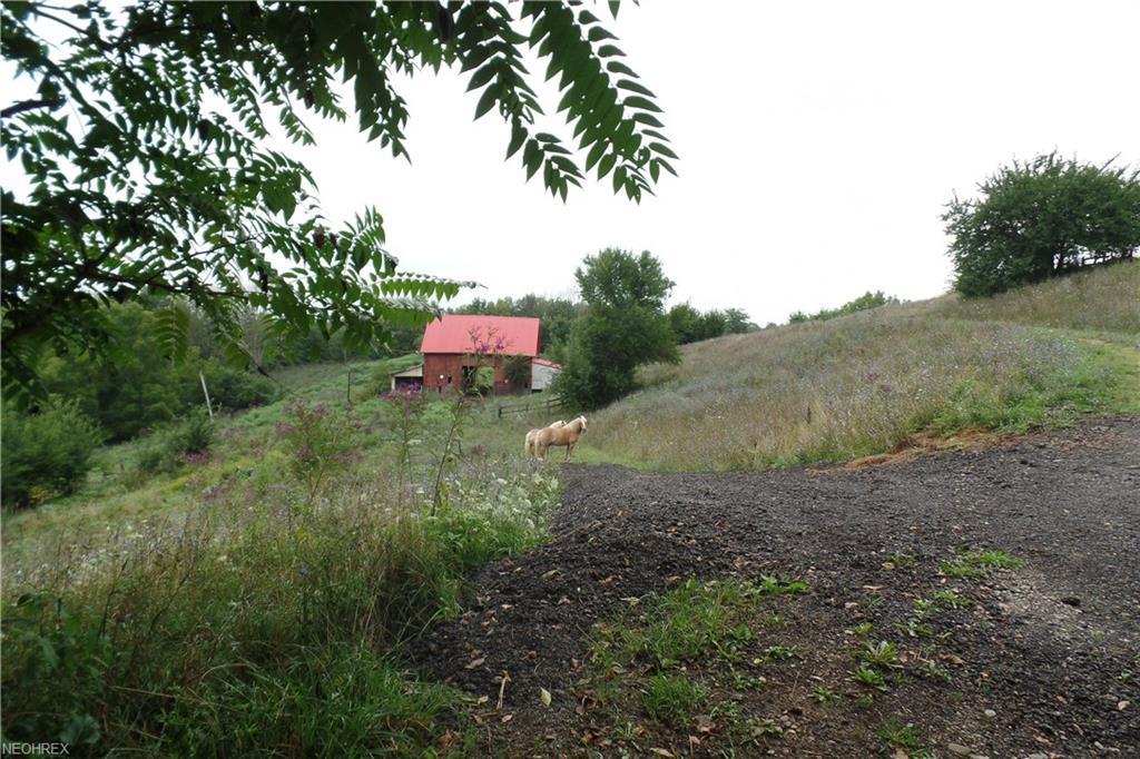 00 Lowe Ln - Photo 1
