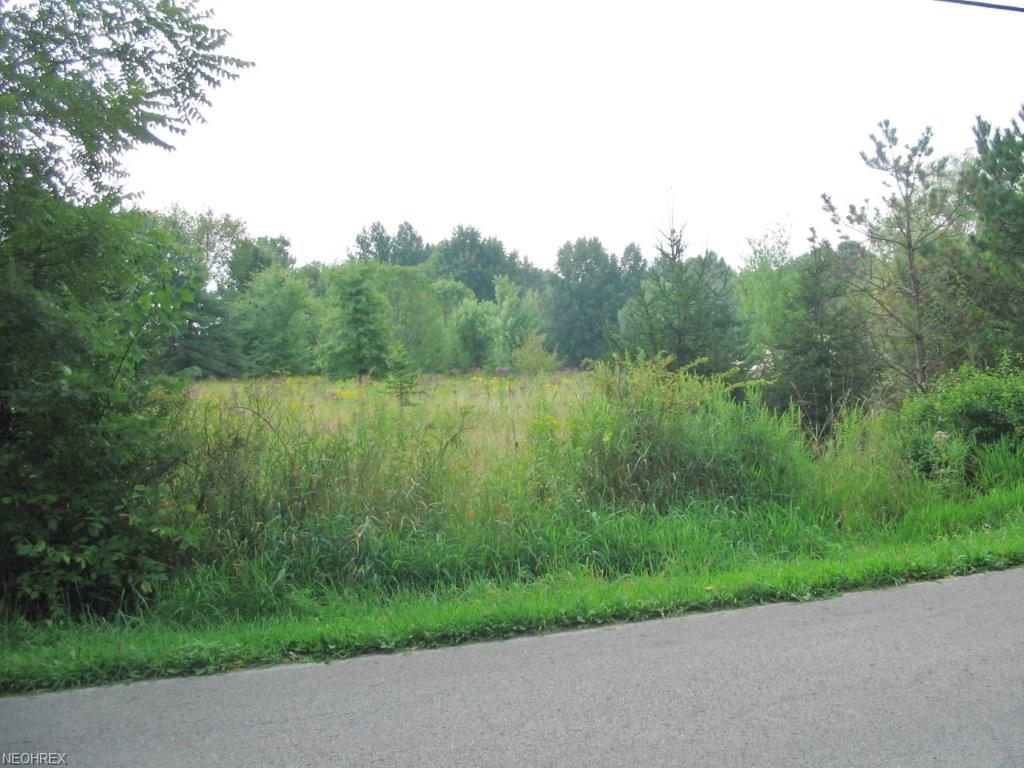 V/L Benton West Rd - Photo 1
