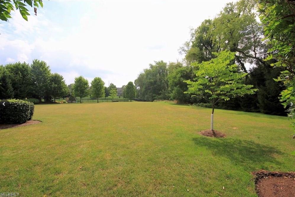 Oxford Chase Cir - Photo 1