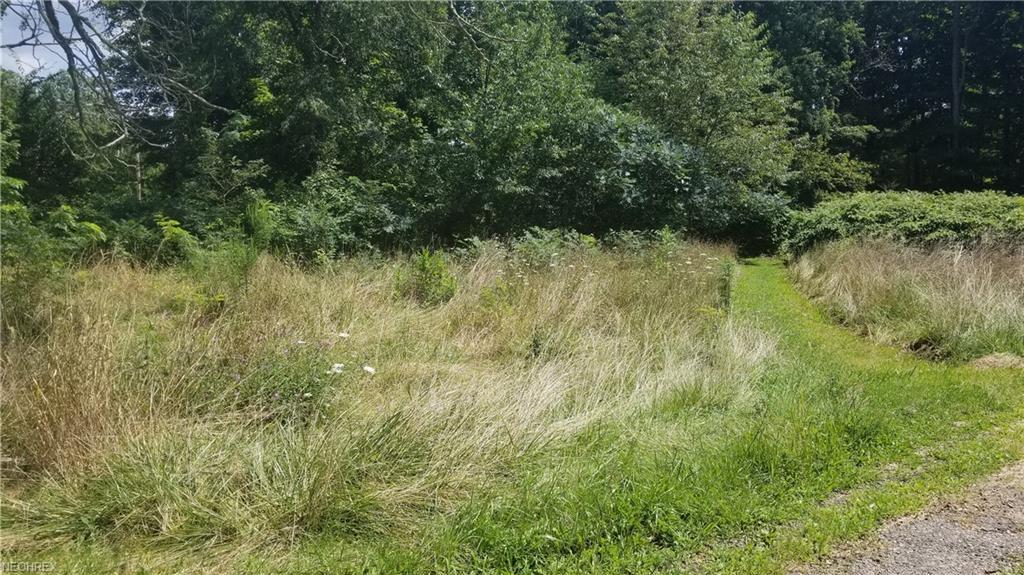0 Mckinley Lot #8 Ave - Photo 1