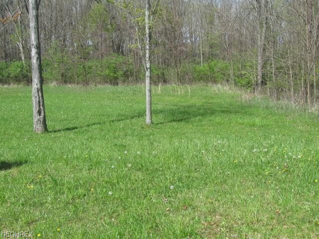 8356 Falls Glen S/L 31 Rd - Photo 1