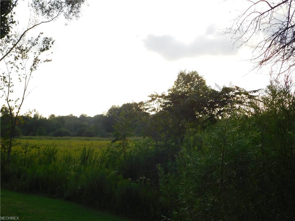Mantua Center Rd - Photo 1