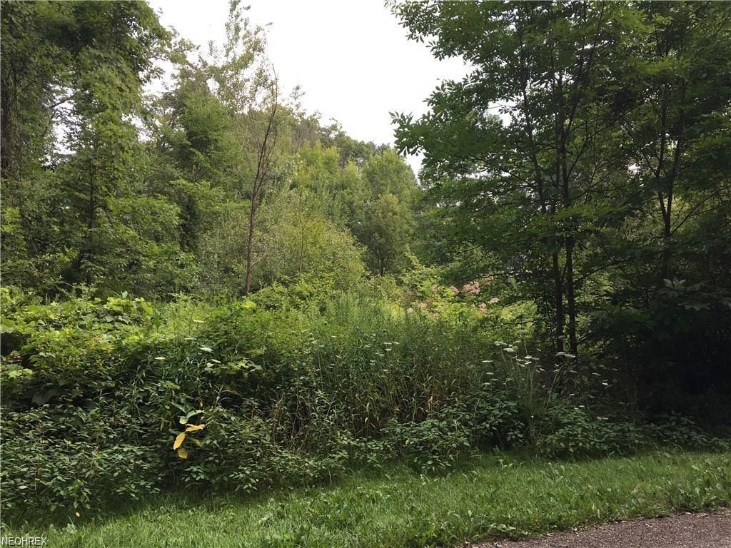 1254 Smithsonian Ave - Photo 1
