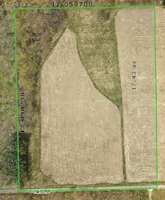 17.43 Ac V/L Hall Rd - Photo 1