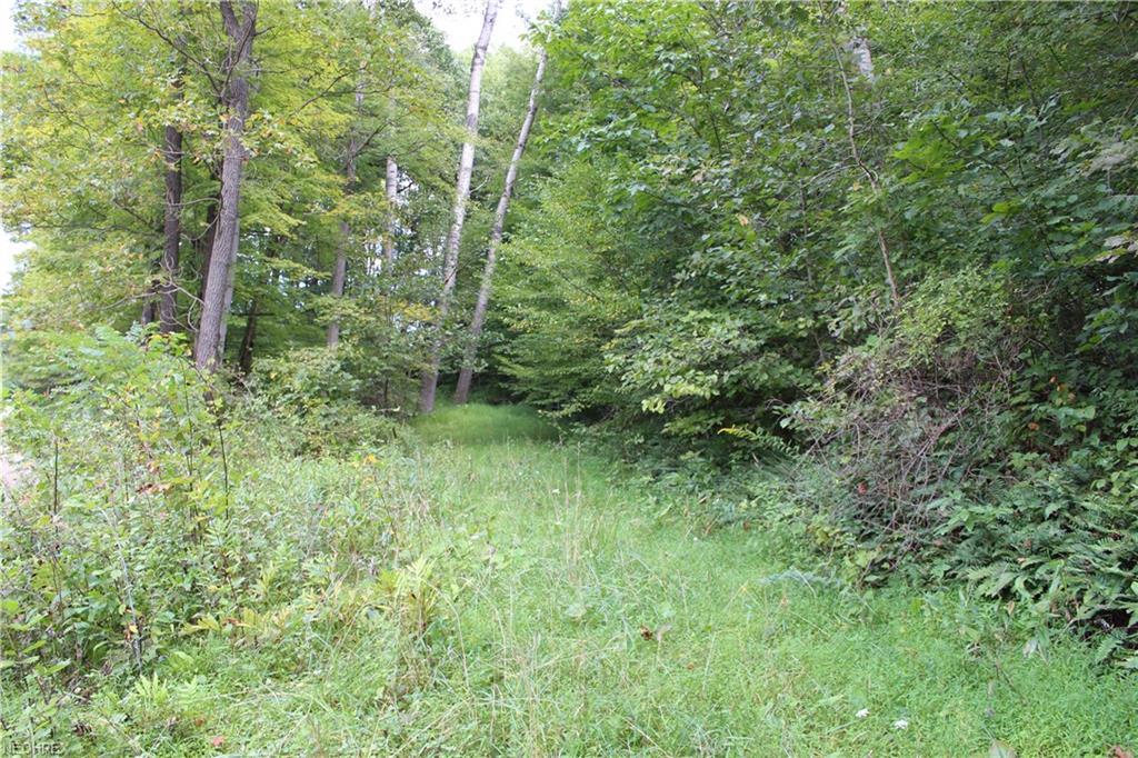 Township Road 381 - Photo 1