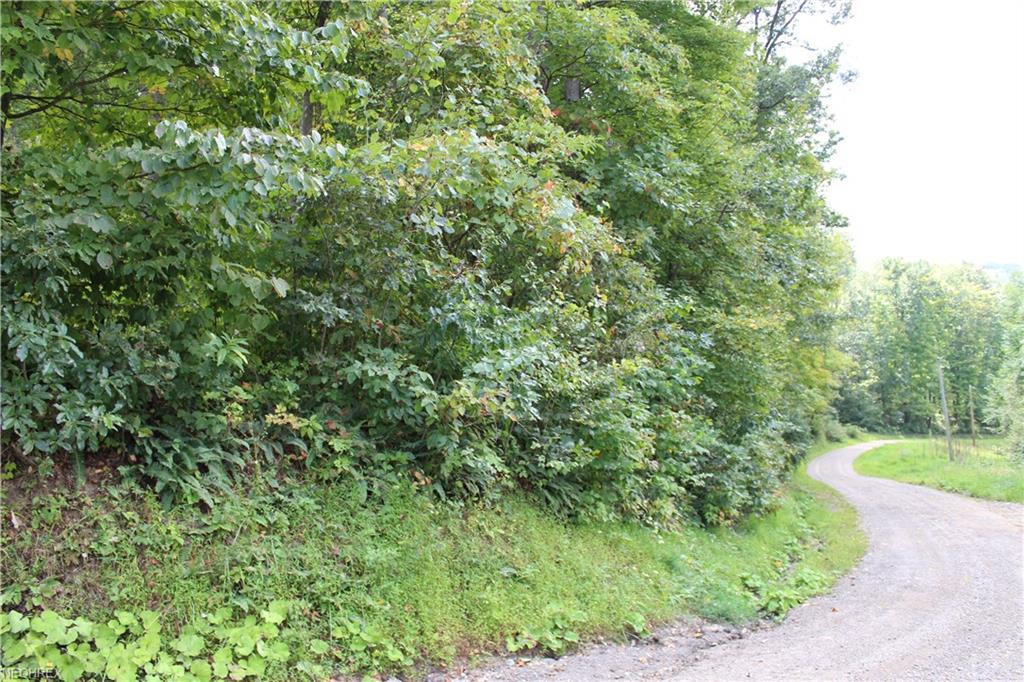 Township Road 381 - Photo 1