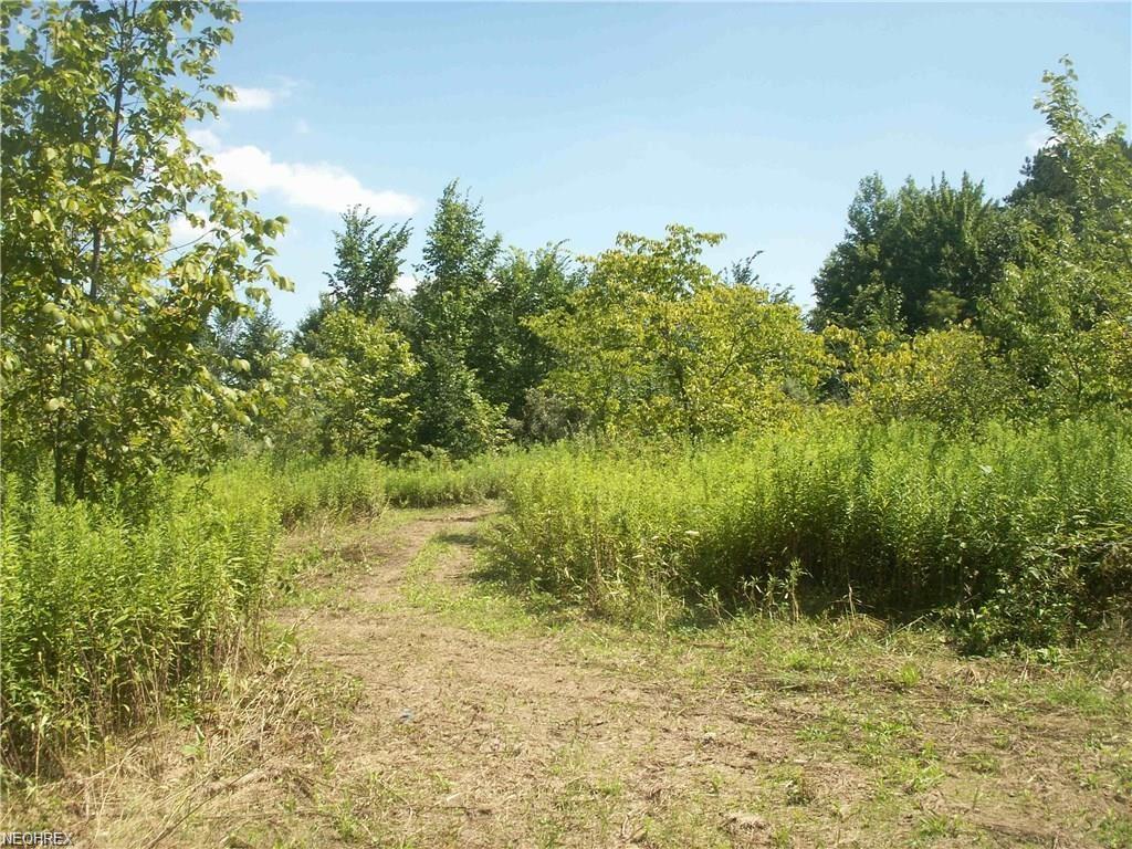 lot 1 East Liverpool Rd - Photo 1