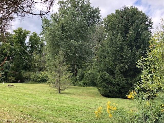 Lake & Buffham Rd - Photo 1