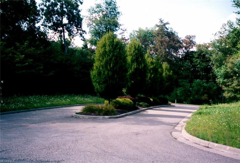 Dipino Dr - Photo 1
